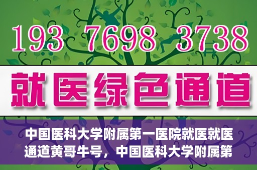 中国医科大学附属第一医院就医就医通道黄哥牛号，中国医科大学附属第一医院就医通道详解，黄哥牛号引领就医新体验
