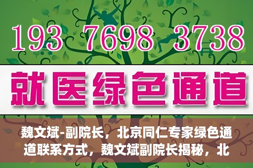 魏文斌-副院长，北京同仁专家绿色通道联系方式，魏文斌副院长揭秘，北京同仁专家绿色通道的联系渠道