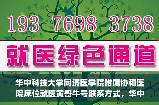 华中科技大学同济医学院附属协和医院床位就医黄哥牛号联系方式，华中科技大学同济医学院附属协和医院床位就医信息详解，黄哥牛号联系方式揭秘