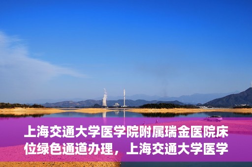 上海交通大学医学院附属瑞金医院床位绿色通道办理，上海交通大学医学院附属瑞金医院床位绿色通道办理详解与攻略
