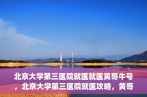 北京大学第三医院就医就医黄哥牛号，北京大学第三医院就医攻略，黄哥牛号助您轻松挂号就医