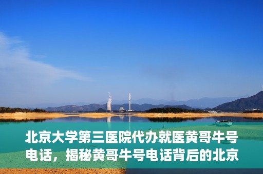 北京大学第三医院代办就医黄哥牛号电话，揭秘黄哥牛号电话背后的北京大学第三医院代办就医真相