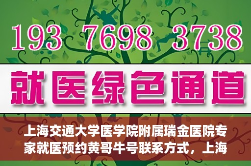 上海交通大学医学院附属瑞金医院专家就医预约黄哥牛号联系方式，上海交通大学医学院附属瑞金医院专家就医预约指南，黄哥牛号联系方式全解析