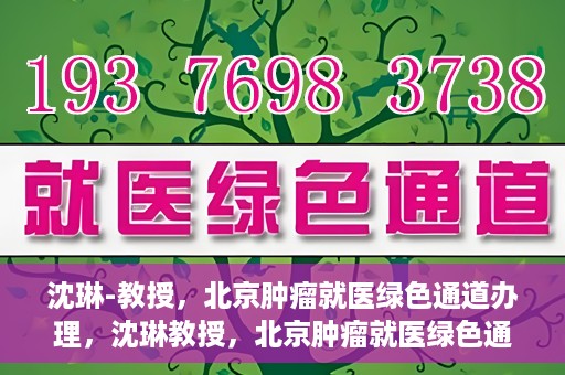 沈琳-教授，北京肿瘤就医绿色通道办理，沈琳教授，北京肿瘤就医绿色通道详解及办理指南