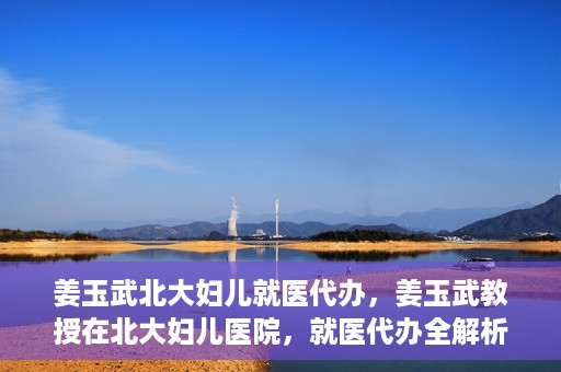 姜玉武北大妇儿就医代办，姜玉武教授在北大妇儿医院，就医代办全解析