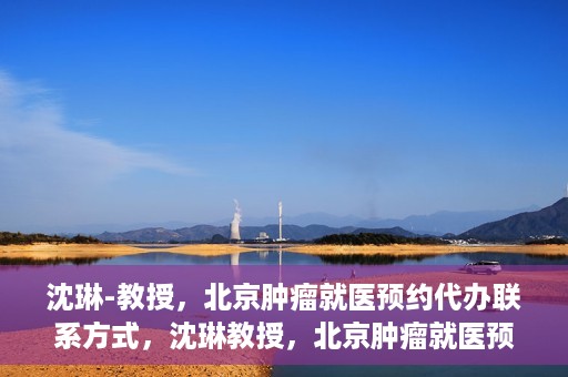 沈琳-教授，北京肿瘤就医预约代办联系方式，沈琳教授，北京肿瘤就医预约代办的权威联系方式揭秘