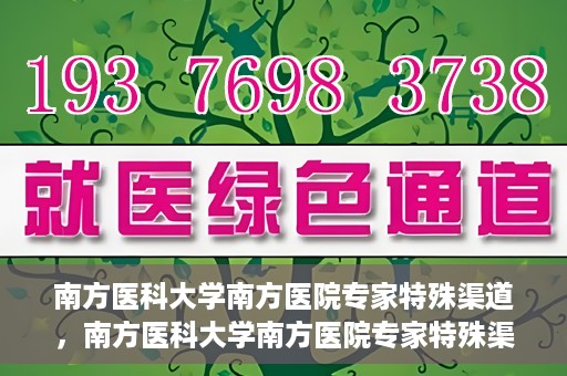 南方医科大学南方医院专家特殊渠道，南方医科大学南方医院专家特殊渠道解析，专业服务的背后故事