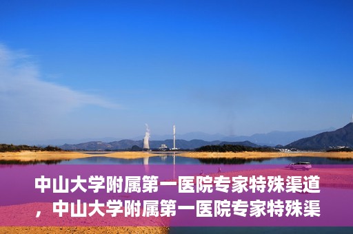 中山大学附属第一医院专家特殊渠道，中山大学附属第一医院专家特殊渠道解析与解读