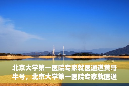 北京大学第一医院专家就医通道黄哥牛号，北京大学第一医院专家就医通道，黄哥牛号直通车