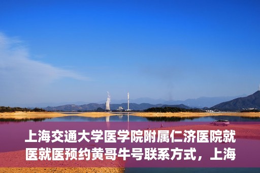 上海交通大学医学院附属仁济医院就医就医预约黄哥牛号联系方式，上海交通大学医学院附属仁济医院就医预约指南，黄哥牛号联系方式全解析