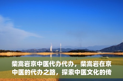 柴嵩岩京中医代办代办，柴嵩岩在京中医的代办之路，探索中医文化的传承与创新