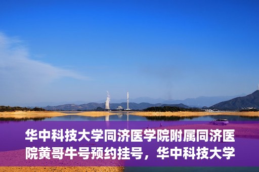 华中科技大学同济医学院附属同济医院黄哥牛号预约挂号，华中科技大学同济医院黄哥牛号预约挂号攻略