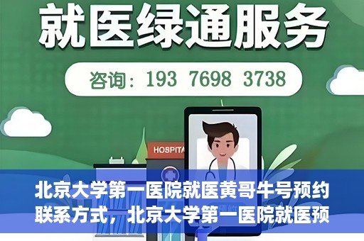 北京大学第一医院就医黄哥牛号预约联系方式，北京大学第一医院就医预约攻略，黄哥牛号预约联系方式揭秘