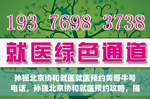 孙强北京协和就医就医预约黄哥牛号电话，孙强北京协和就医预约攻略，揭秘黄哥牛号预约电话