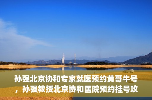 孙强北京协和专家就医预约黄哥牛号，孙强教授北京协和医院预约挂号攻略，黄哥牛号助您轻松就医
