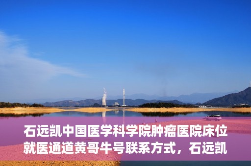 石远凯中国医学科学院肿瘤医院床位就医通道黄哥牛号联系方式，石远凯教授，中国医学科学院肿瘤医院床位就医指南与联系方式揭秘