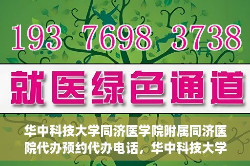 华中科技大学同济医学院附属同济医院代办预约代办电话，华中科技大学同济医院预约代办服务热线解析