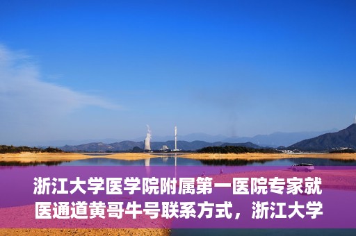 浙江大学医学院附属第一医院专家就医通道黄哥牛号联系方式，浙江大学医学院附属第一医院专家就医通道，黄哥牛号联系方式全解析