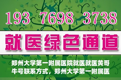 郑州大学第一附属医院就医就医黄哥牛号联系方式，郑州大学第一附属医院就医攻略，黄哥牛号联系方式全解析