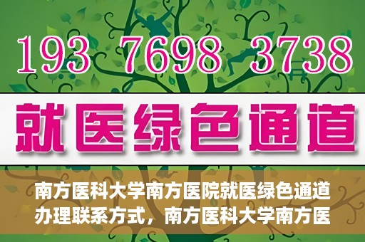 南方医科大学南方医院就医绿色通道办理联系方式，南方医科大学南方医院就医绿色通道办理指南，快速联系与办理方式解析