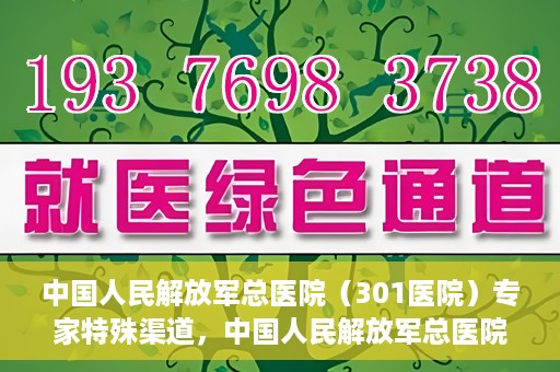 中国人民解放军总医院（301医院）专家特殊渠道，中国人民解放军总医院（301医院）专家特殊渠道揭秘，权威医疗资源的独特对接方式