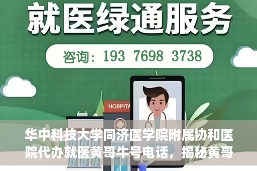 华中科技大学同济医学院附属协和医院代办就医黄哥牛号电话，揭秘黄哥牛号电话背后的华中科技大学同济医学院附属协和医院代办就医服务内幕