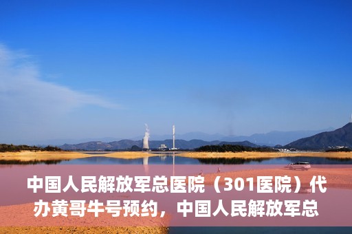 中国人民解放军总医院（301医院）代办黄哥牛号预约，中国人民解放军总医院（301医院）黄哥预约助手助您轻松挂号就医！