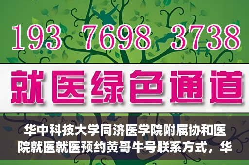 华中科技大学同济医学院附属协和医院就医就医预约黄哥牛号联系方式，华中科技大学同济医学院附属协和医院就医预约指南，黄哥牛号联系方式全解析