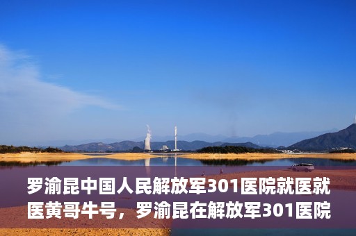 罗渝昆中国人民解放军301医院就医就医黄哥牛号，罗渝昆在解放军301医院就医经历，黄哥牛号背后的故事