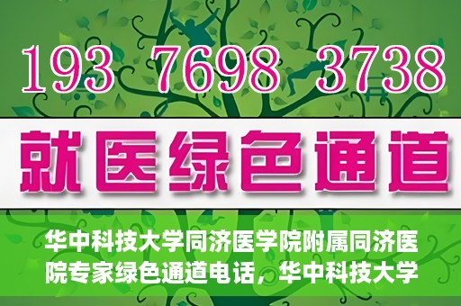 华中科技大学同济医学院附属同济医院专家绿色通道电话，华中科技大学同济医院专家绿色通道联系电话揭秘