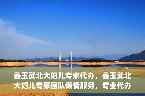 姜玉武北大妇儿专家代办，姜玉武北大妇儿专家团队倾情服务，专业代办助您无忧