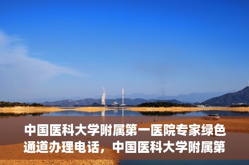 中国医科大学附属第一医院专家绿色通道办理电话，中国医科大学附属第一医院专家绿色通道服务热线电话揭秘