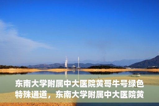 东南大学附属中大医院黄哥牛号绿色特殊通道，东南大学附属中大医院黄哥牛号，绿色特殊通道开启生命之门