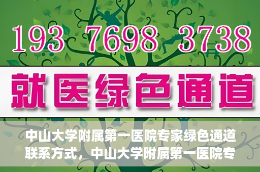 中山大学附属第一医院专家绿色通道联系方式，中山大学附属第一医院专家绿色通道联系指南，一站式解决您的健康需求