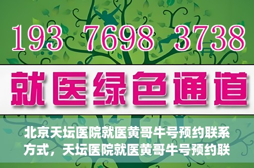 北京天坛医院就医黄哥牛号预约联系方式，天坛医院就医黄哥牛号预约联系方式揭秘，一站式解决您的健康需求
