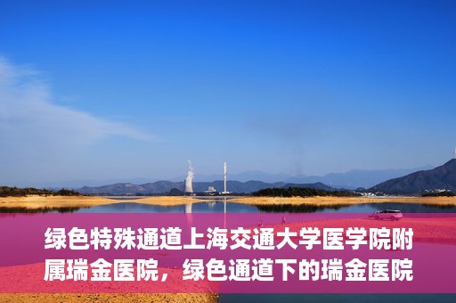 绿色特殊通道上海交通大学医学院附属瑞金医院，绿色通道下的瑞金医院，探索医疗创新的绿色路径