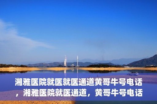 湘雅医院就医就医通道黄哥牛号电话，湘雅医院就医通道，黄哥牛号电话就医指南揭秘