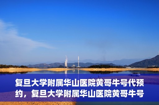 复旦大学附属华山医院黄哥牛号代预约，复旦大学附属华山医院黄哥牛号预约服务解析