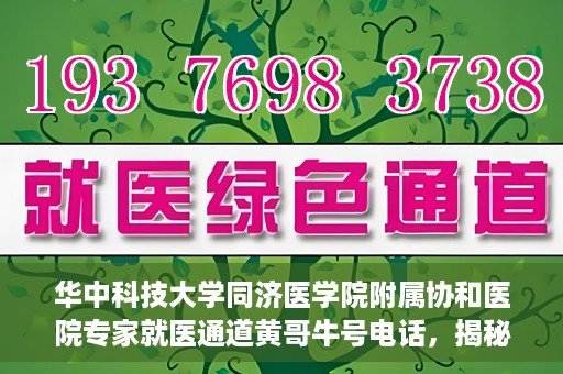 华中科技大学同济医学院附属协和医院专家就医通道黄哥牛号电话，揭秘华中科技大学同济医学院附属协和医院专家就医通道，黄哥牛号电话专线开通