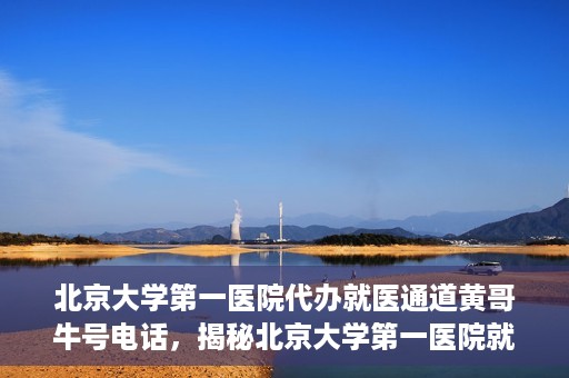 北京大学第一医院代办就医通道黄哥牛号电话，揭秘北京大学第一医院就医通道代办人黄哥牛号背后的故事与真相