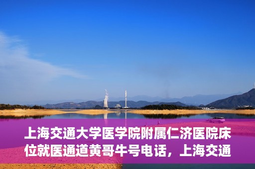 上海交通大学医学院附属仁济医院床位就医通道黄哥牛号电话，上海交通大学医学院附属仁济医院床位就医通道详解，黄哥牛号电话一键预约就医服务