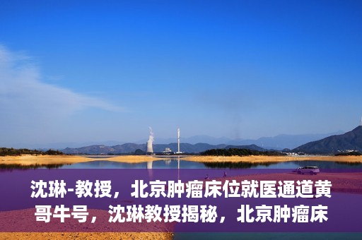 沈琳-教授，北京肿瘤床位就医通道黄哥牛号，沈琳教授揭秘，北京肿瘤床位就医通道黄哥牛号