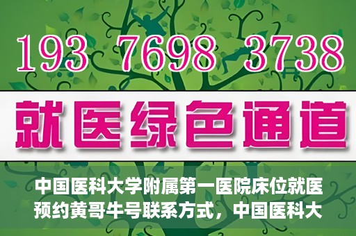 中国医科大学附属第一医院床位就医预约黄哥牛号联系方式，中国医科大学附属第一医院床位预约联系方式揭秘，黄哥牛号就医指南