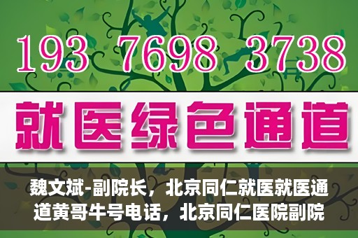 魏文斌-副院长，北京同仁就医就医通道黄哥牛号电话，北京同仁医院副院长魏文斌，就医通道揭秘与黄哥牛号电话解读