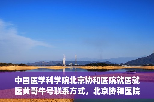 中国医学科学院北京协和医院就医就医黄哥牛号联系方式，北京协和医院就医攻略，黄哥牛号联系方式揭秘！