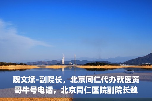 魏文斌-副院长，北京同仁代办就医黄哥牛号电话，北京同仁医院副院长魏文斌，就医黄哥牛号电话背后的故事与探索