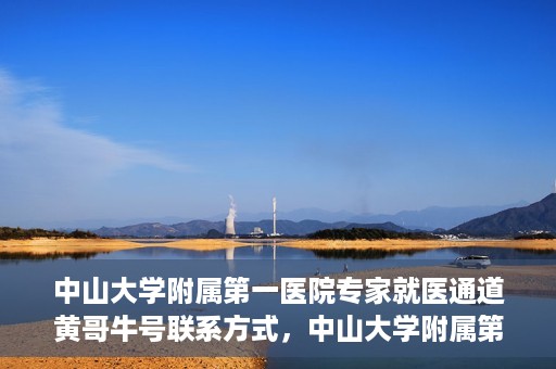 中山大学附属第一医院专家就医通道黄哥牛号联系方式，中山大学附属第一医院专家就医通道，黄哥牛号联系方式全解析