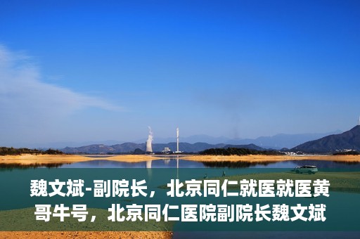 魏文斌-副院长，北京同仁就医就医黄哥牛号，北京同仁医院副院长魏文斌，就医黄哥牛号的背后故事
