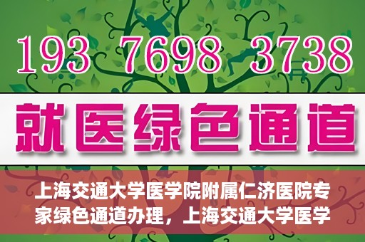 上海交通大学医学院附属仁济医院专家绿色通道办理，上海交通大学医学院附属仁济医院专家绿色通道办理详解与攻略