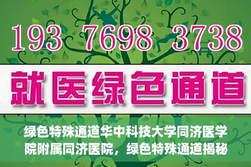 绿色特殊通道华中科技大学同济医学院附属同济医院，绿色特殊通道揭秘，华中科技大学同济医学院附属同济医院的探索之路